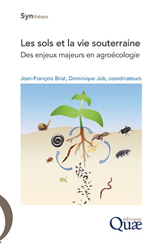 Les sols et la vie souterraine