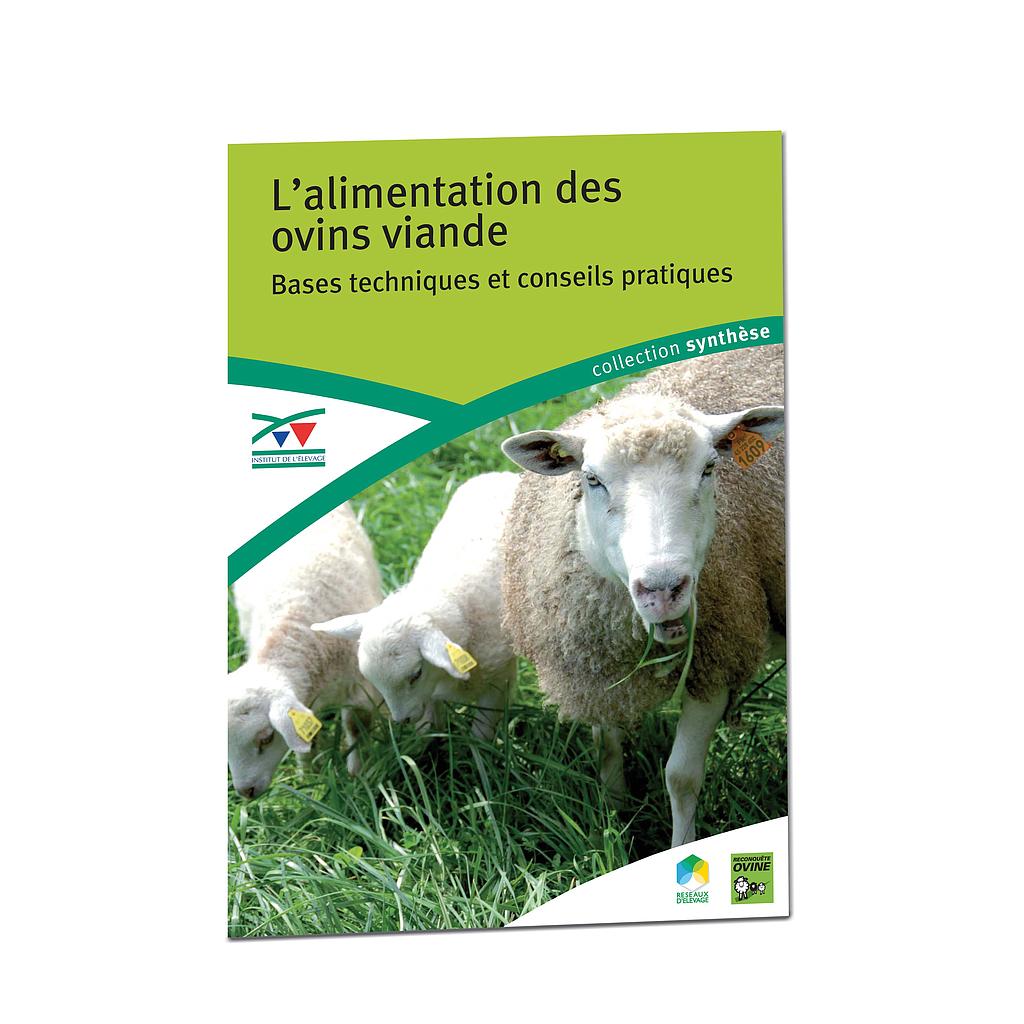 L'alimentation des ovins viande