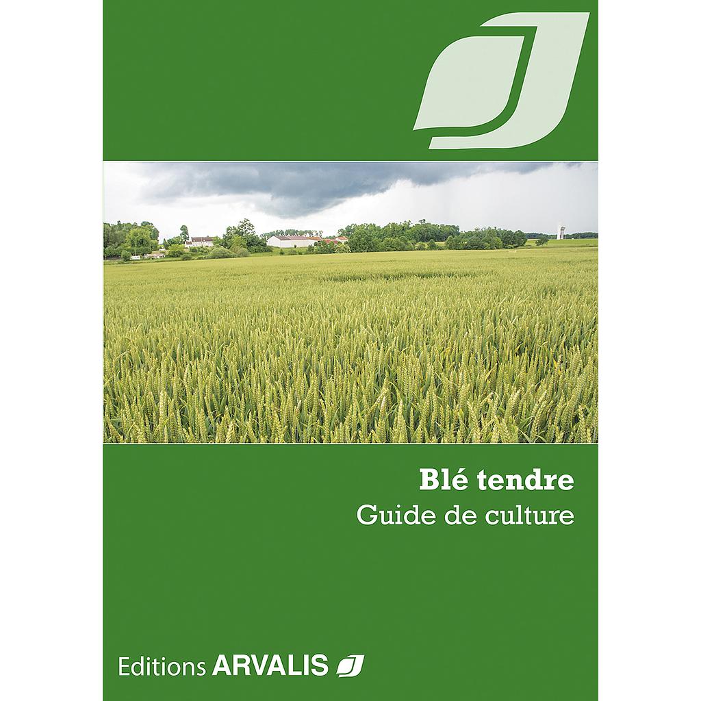 Blé tendre – Guide de culture