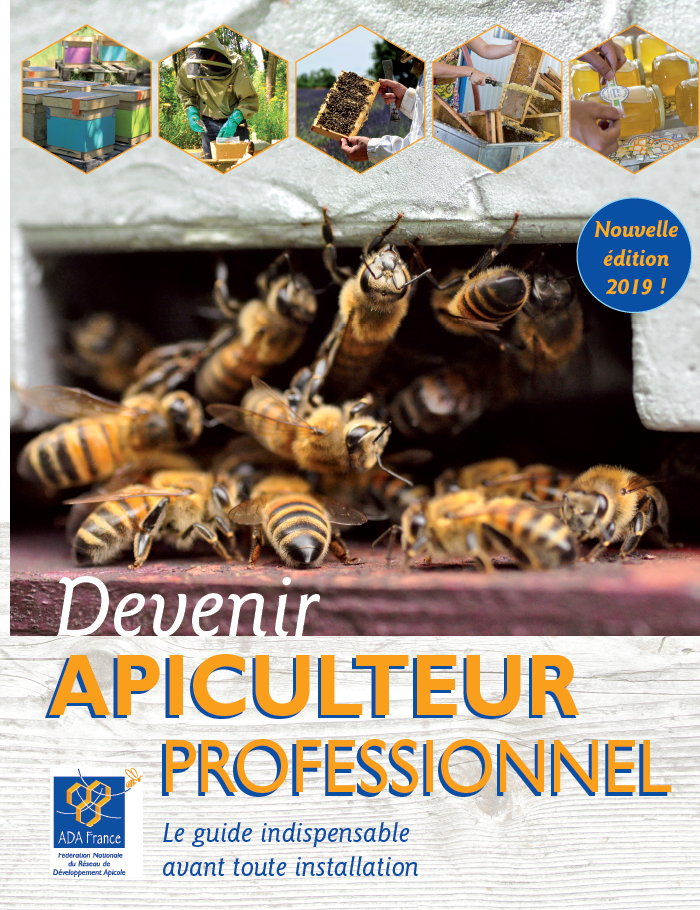 Devenir apiculteur professionnel – Le guide indispensable avant toute installation