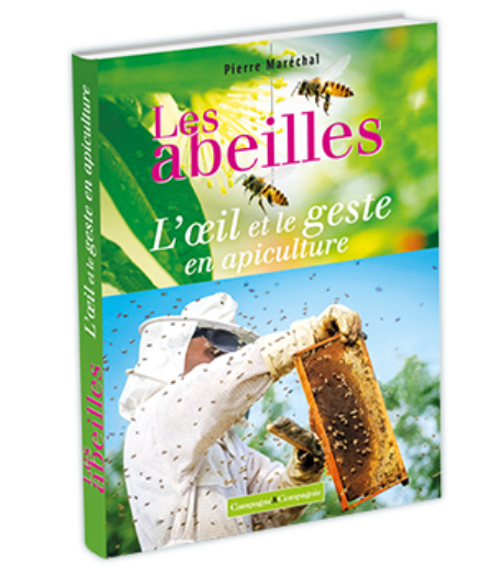 Les abeilles, l'oeil et le geste en apiculture