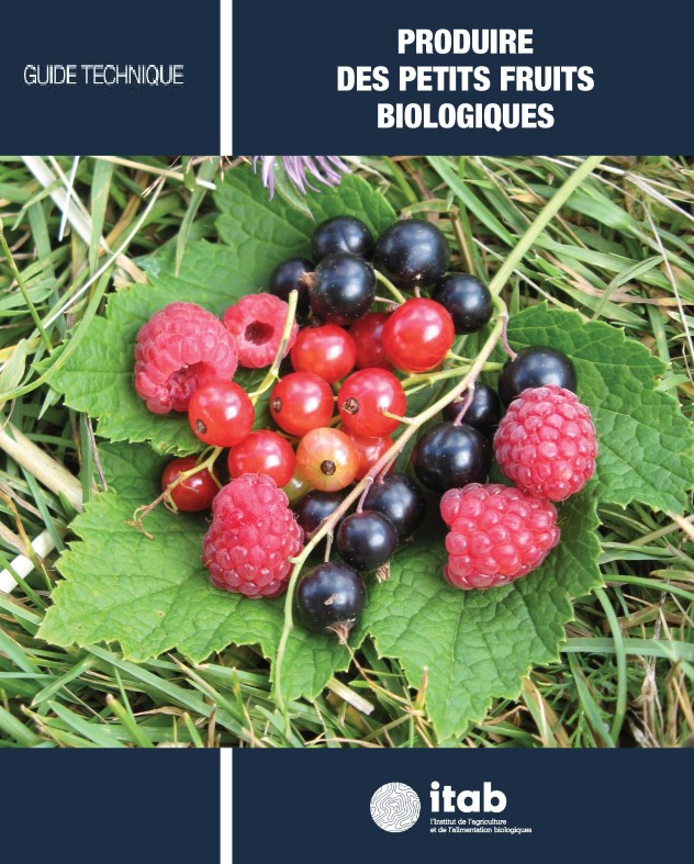 PRODUIRE DES PETITS FRUITS BIOLOGIQUES