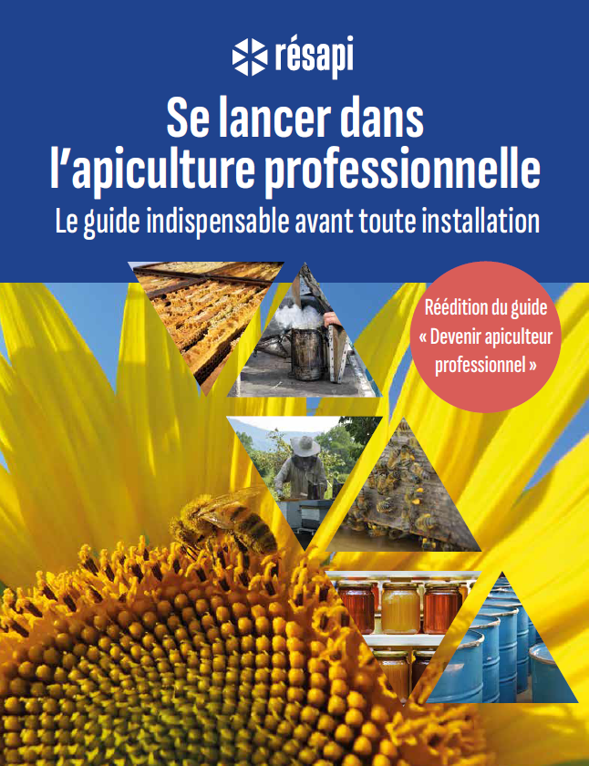Se lancer dans l'apiculture professionnelle