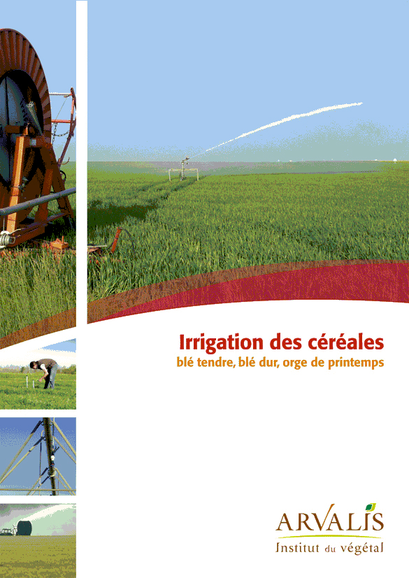 Irrigation des céréales : blé tendre, blé dur, orge de printemps