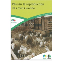 [T1682] Réussir la reproduction des ovins viande