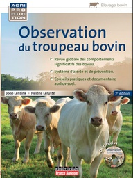 [T1972] Observation du troupeau bovin