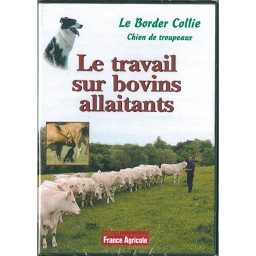 [TD122] DVD Le Border Collie : le travail sur bovins allaitants